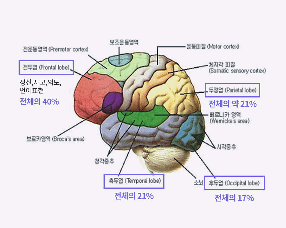 유전자이미지